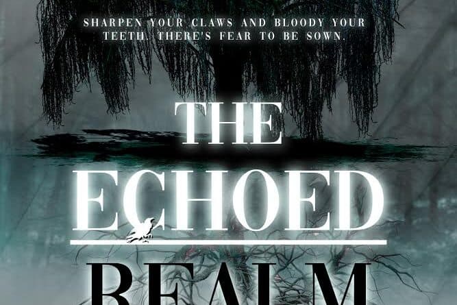REVIEW: “The Echoed Realm” by A.J. Vrana